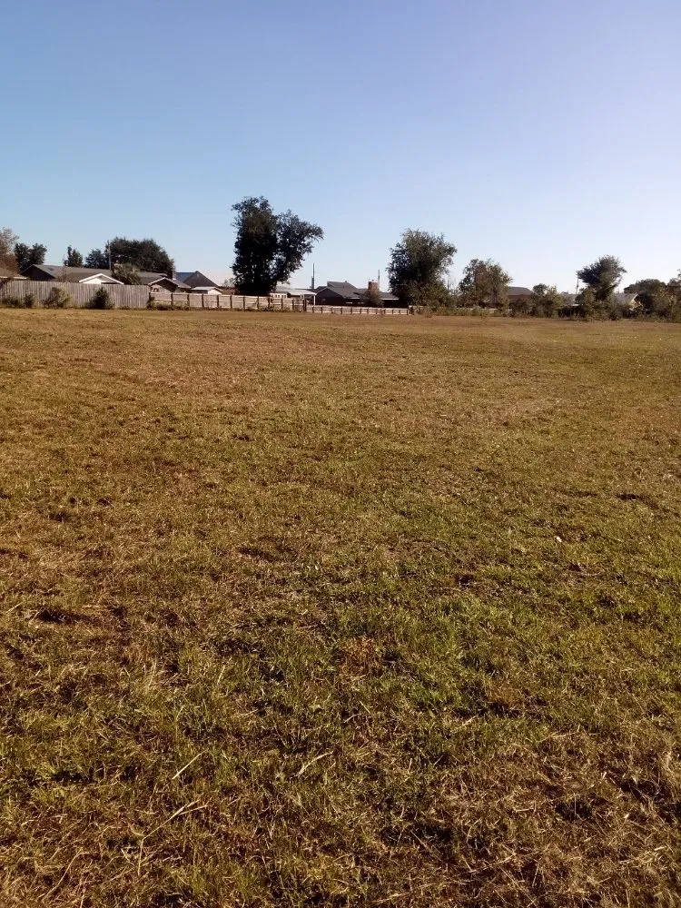 Local residential landscaping experts serving Panama City, FL - Mock One Services