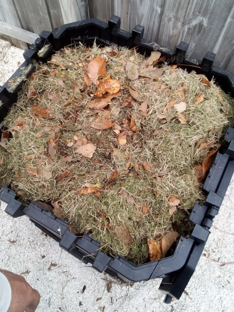 Professional lawn mowing service experts serving Panama City, FL - Mock One Services