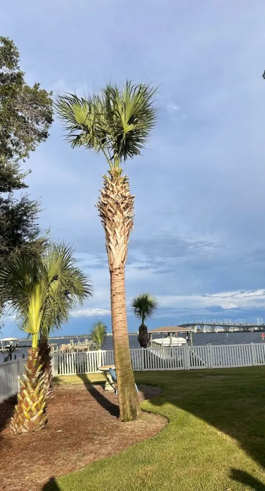 Reliable lawn care service for outdoor upgrades in Panama City, FL by Mock One Services