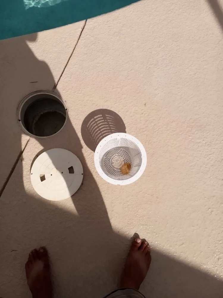 Top-rated lawn care service in Panama City, FL by Mock One Services