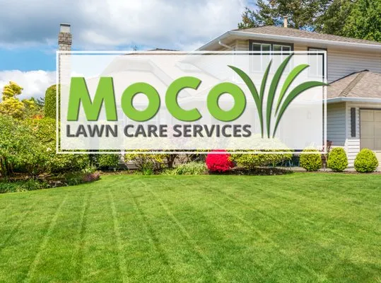 MoCo Lawns
