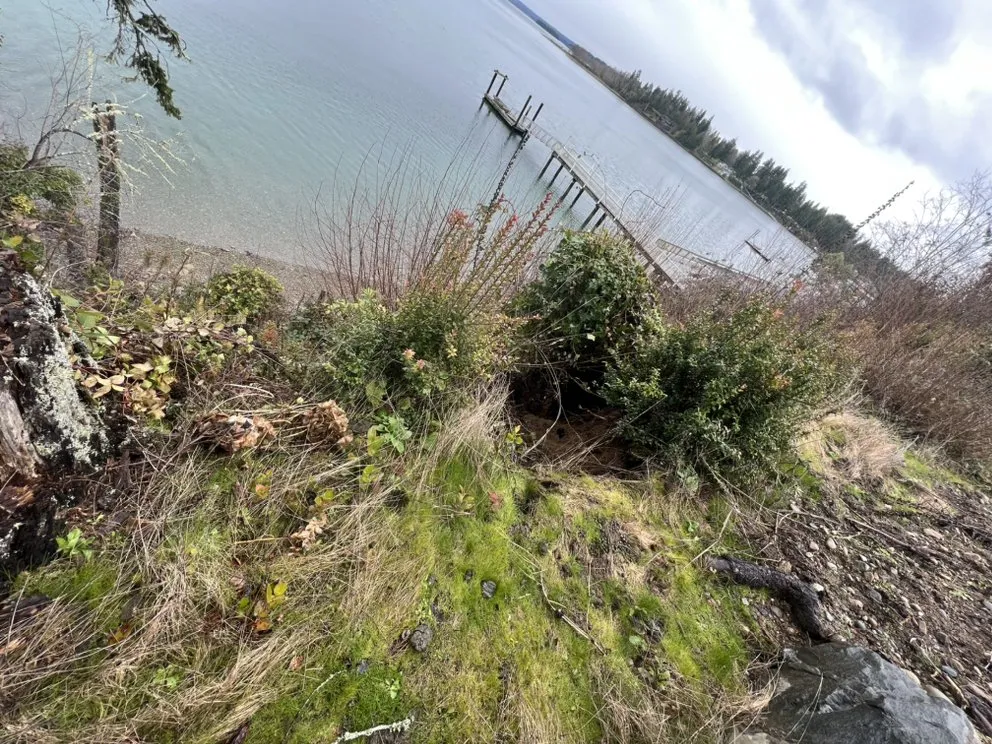 Top-rated yard cleanup service in Centralia, WA by Moctezuma Landscaping and Fencing