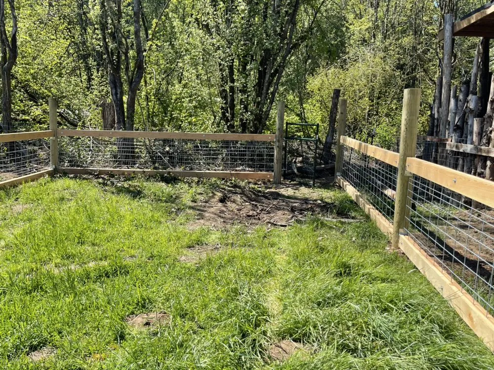 Professional lawn care service for year-round maintenance across Centralia, WA - Moctezuma Landscaping and Fencing