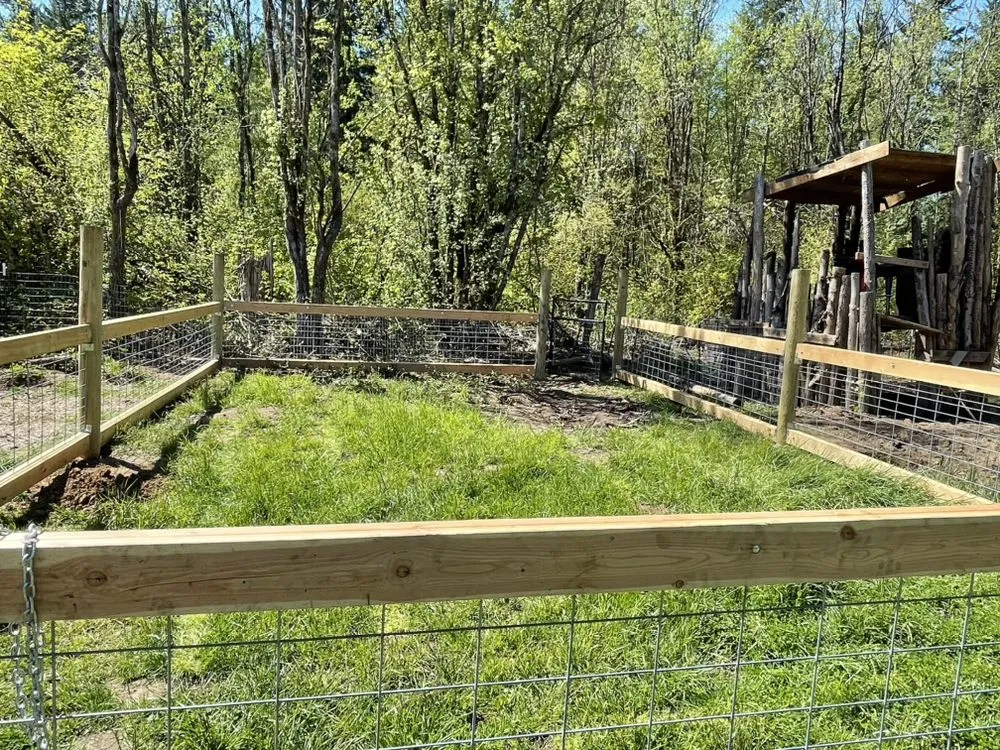 Top-rated lawn care service for homes across Centralia, WA - Moctezuma Landscaping and Fencing