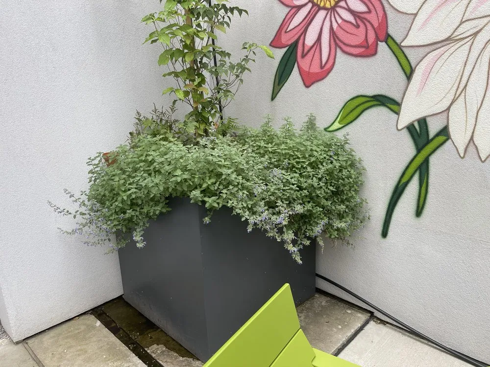 Expert landscaping services in New York, NY - MOD Landscaping