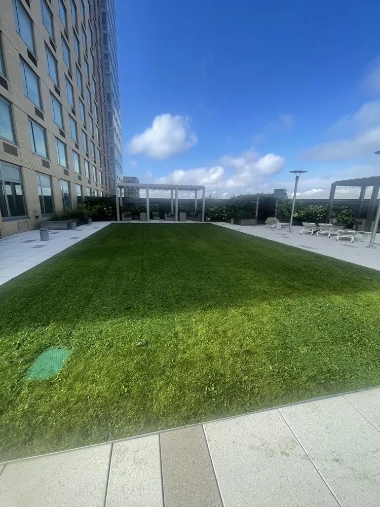 Local outdoor landscaping for beautiful yards across New York, NY - MOD Landscaping