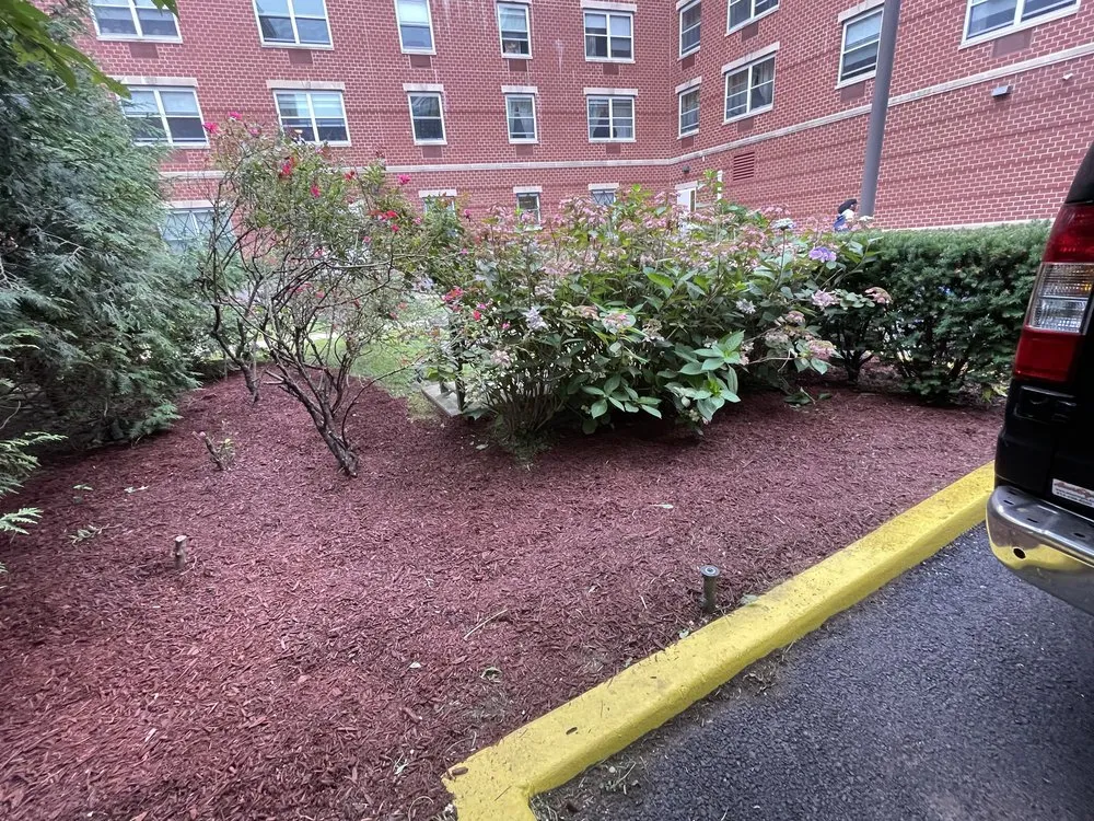 Trusted yard maintenance in New York, NY by MOD Landscaping