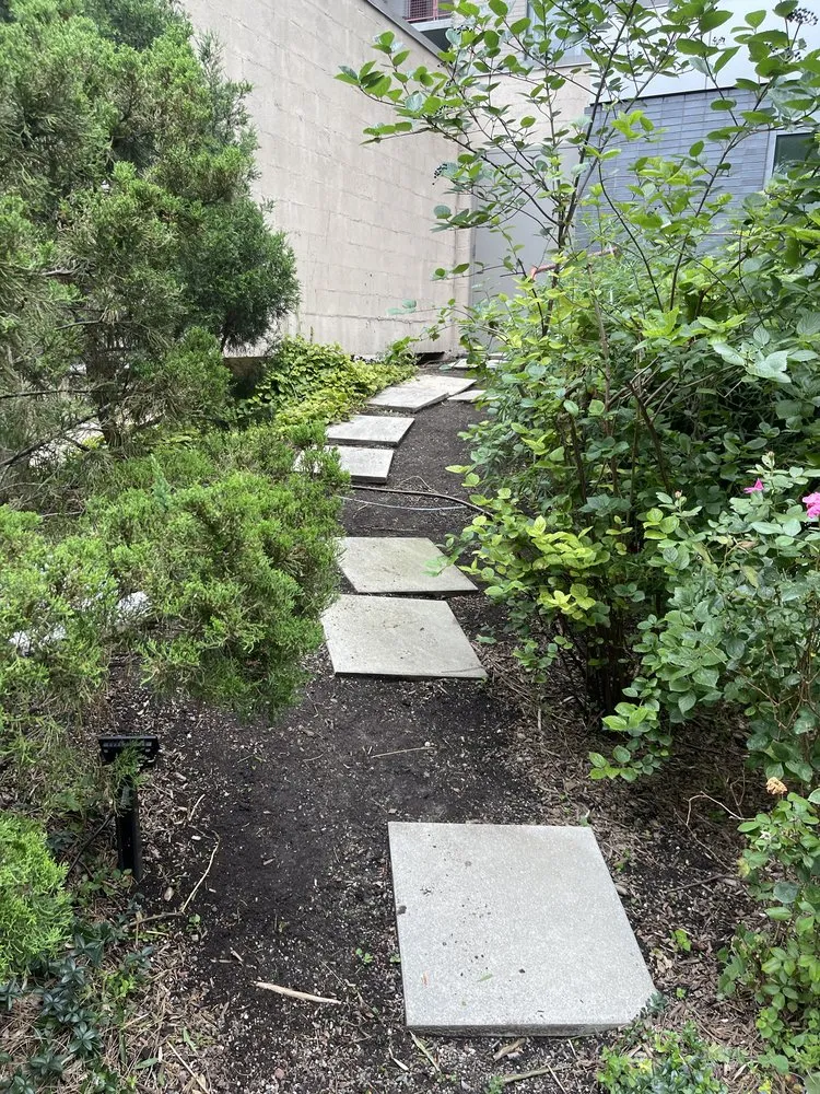 Expert lawn care service near you in New York, NY by MOD Landscaping