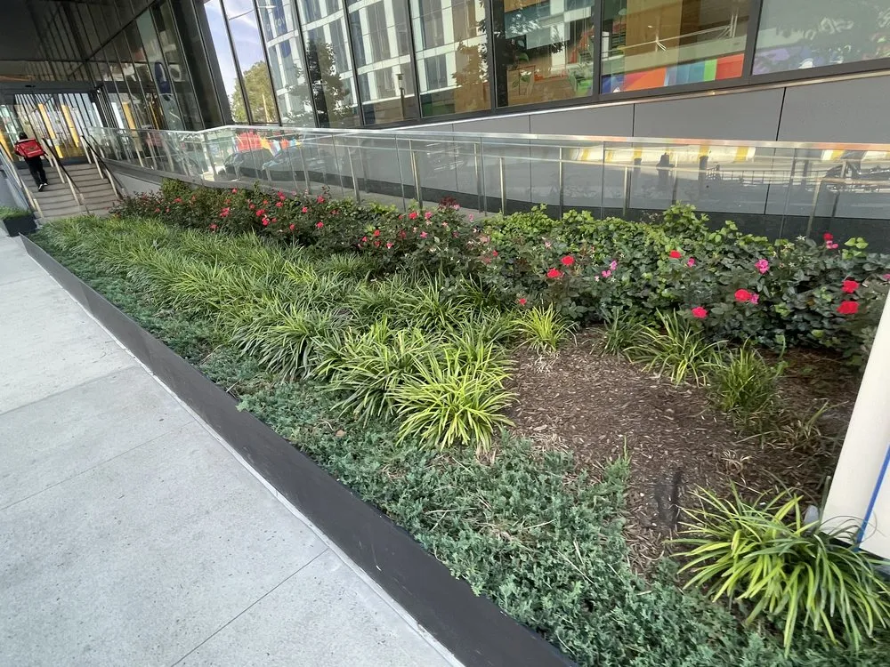 Professional outdoor landscaping with custom design across New York, NY - MOD Landscaping