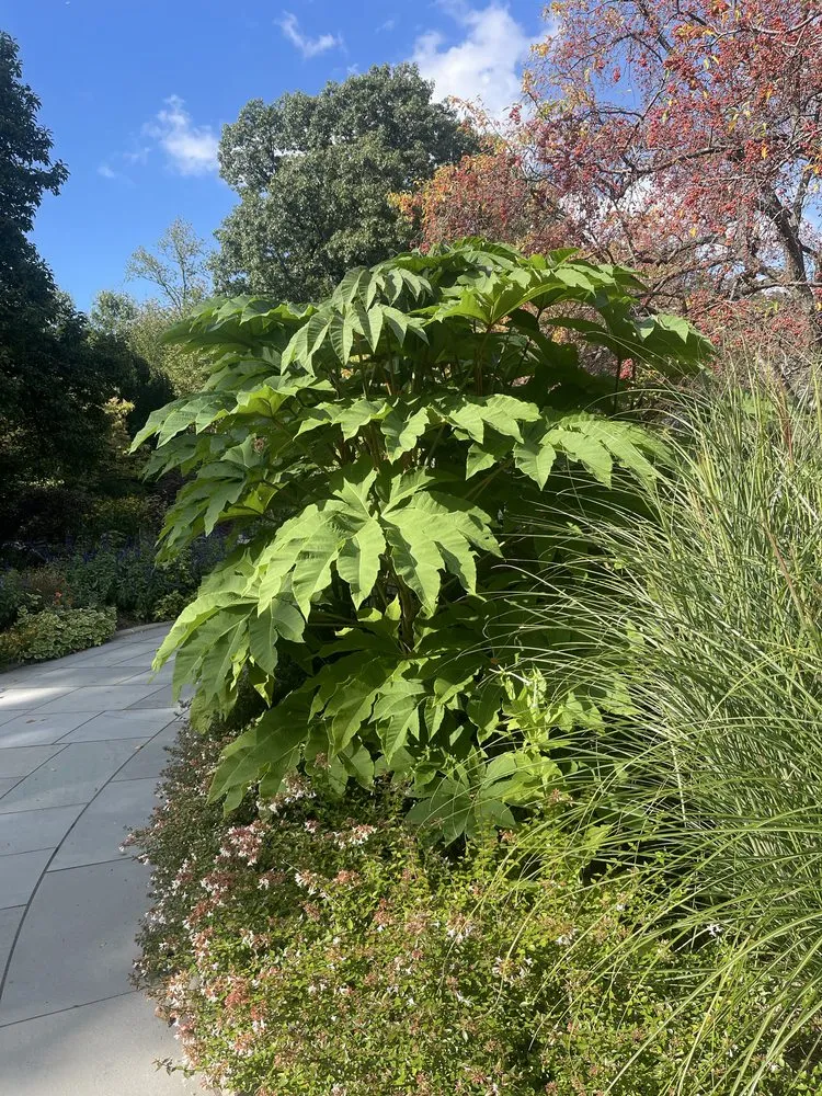 Trusted landscaping services experts serving New York, NY - MOD Landscaping