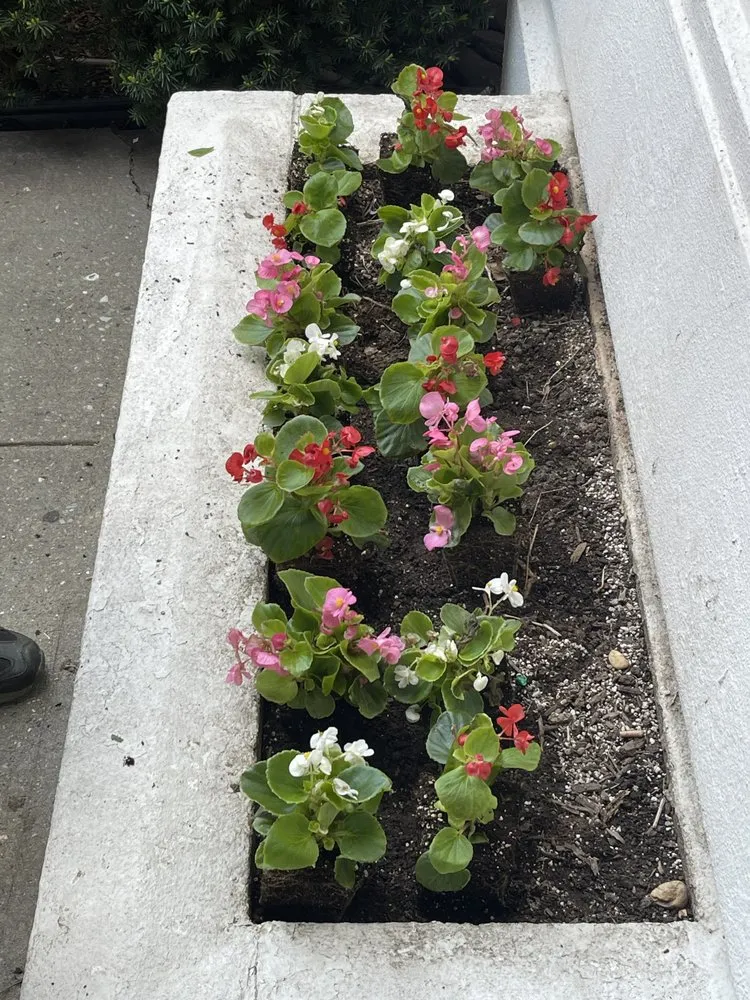 Local outdoor landscaping in New York, NY - MOD Landscaping