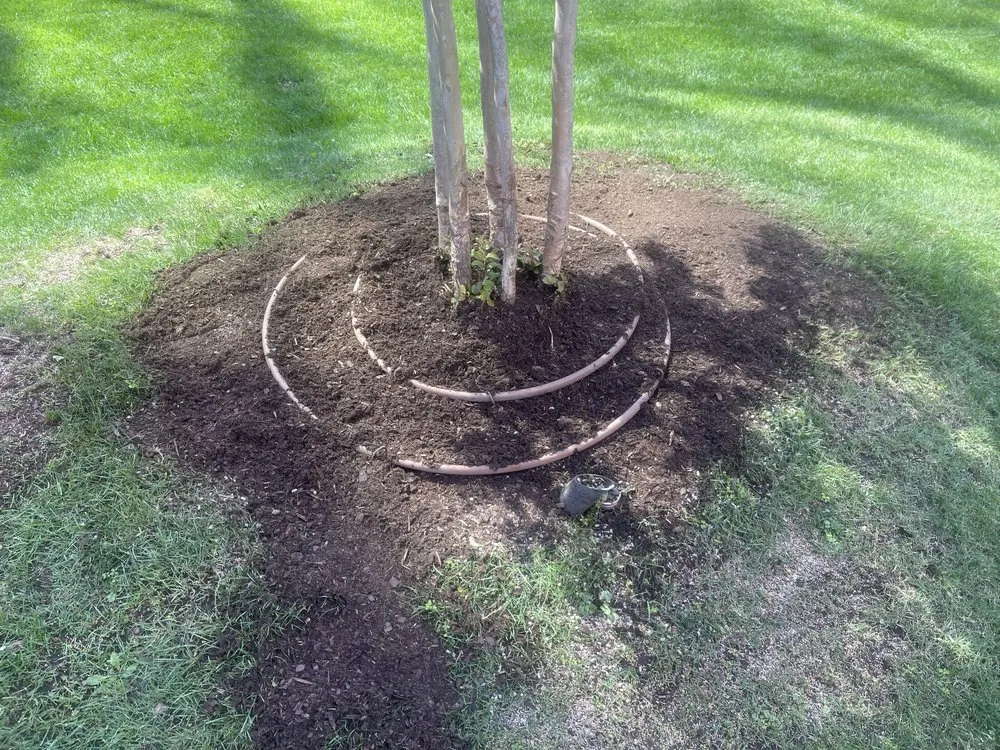 Custom landscaping services for outdoor upgrades across New York, NY - MOD Landscaping