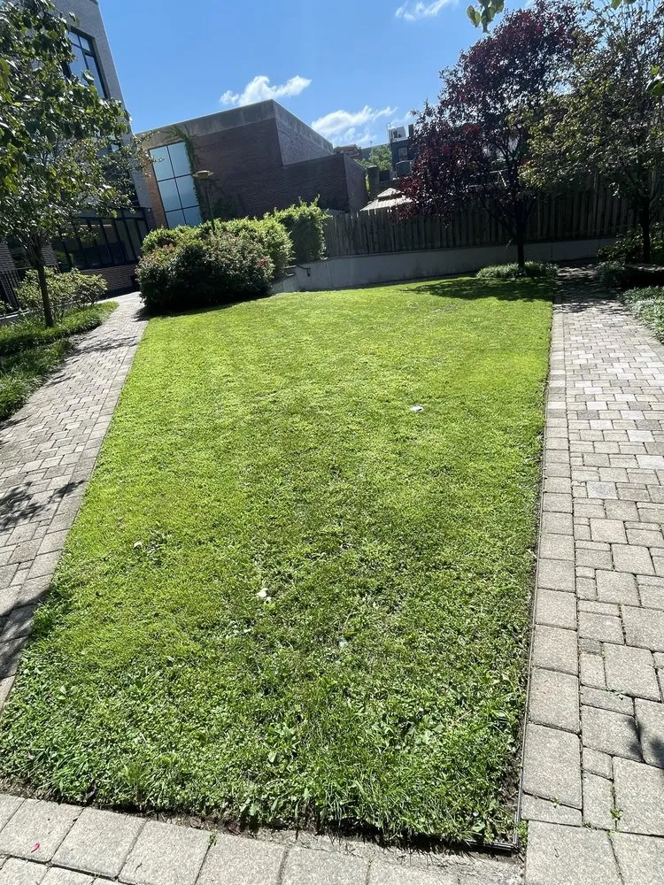 Professional outdoor landscaping in New York, NY - MOD Landscaping