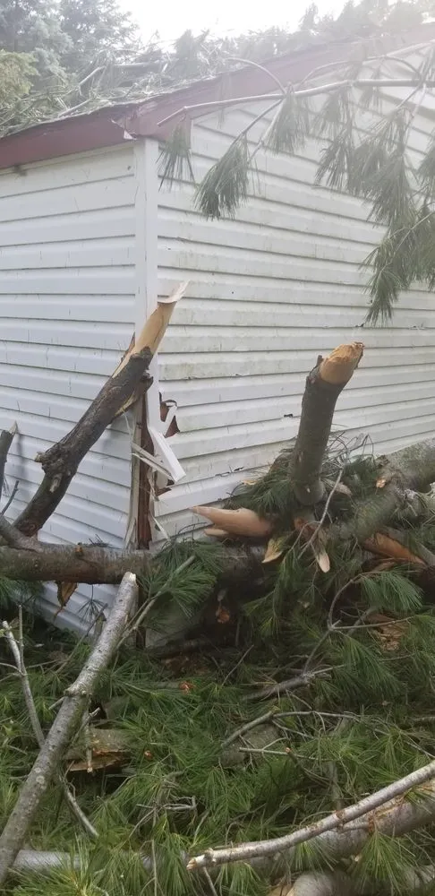 Expert residential landscaping for beautiful yards in Clark Mills, NY by Model A Contracting