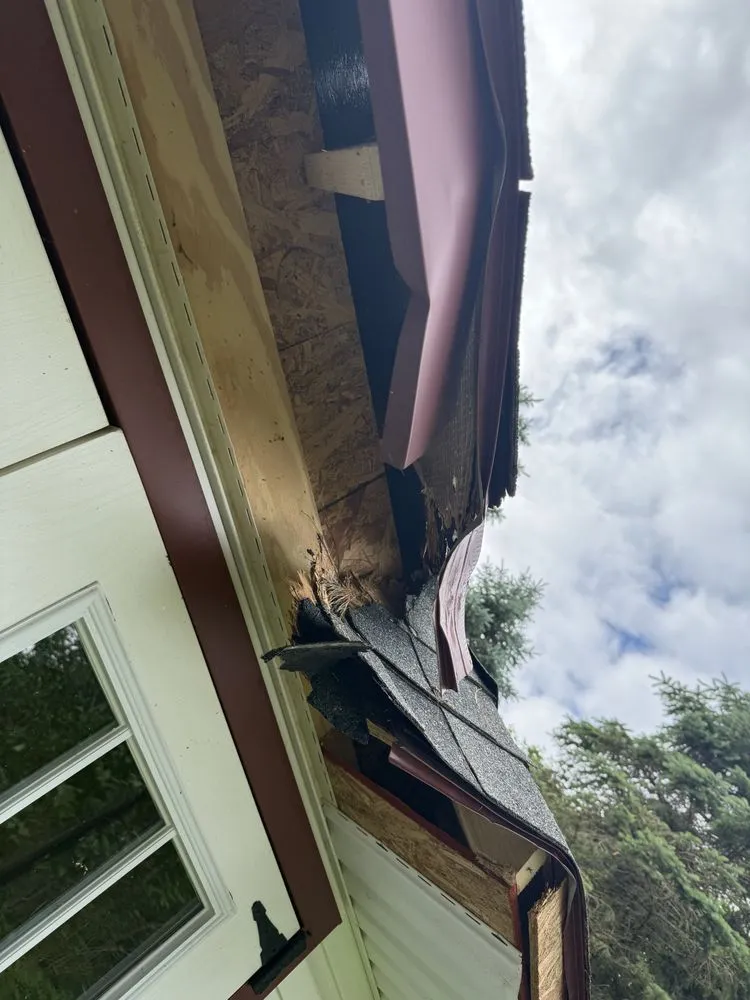 Expert yard maintenance for outdoor upgrades across Clark Mills, NY - Model A Contracting