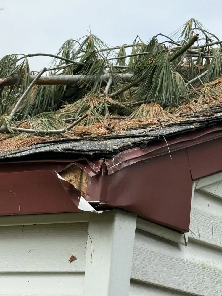 Professional yard maintenance in Clark Mills, NY by Model A Contracting