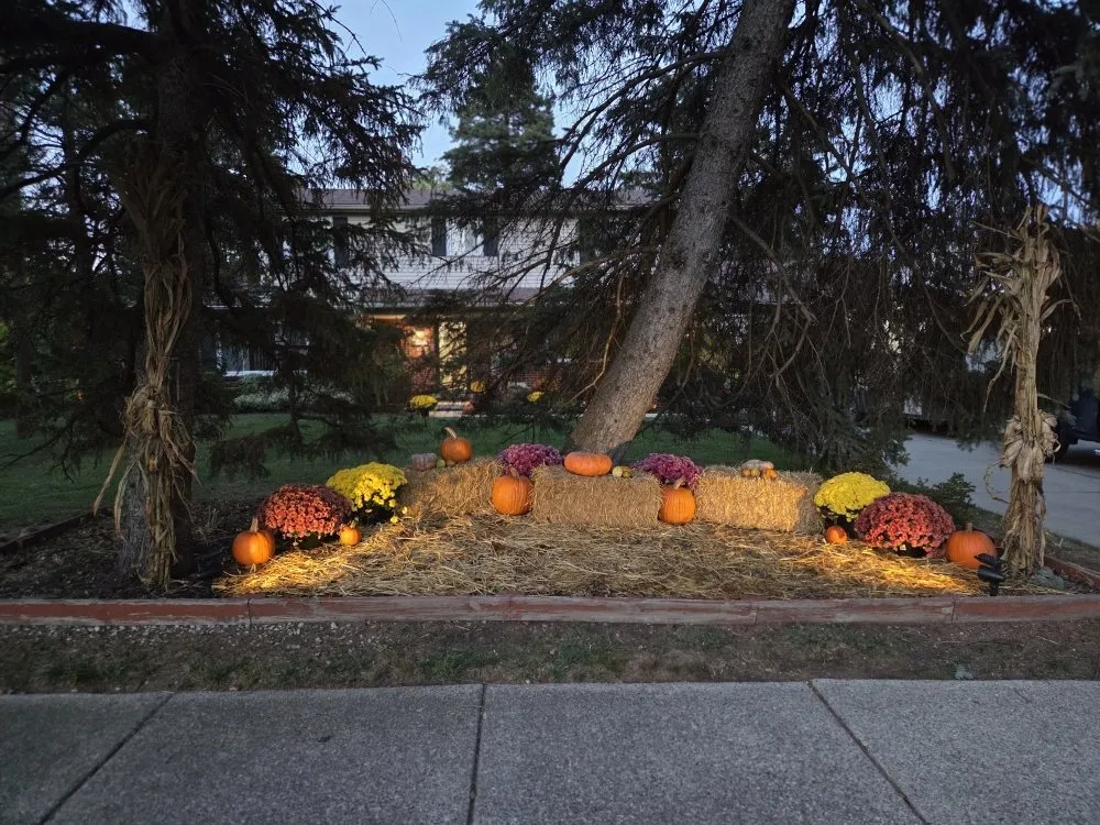 Custom landscape design for homes across Plymouth, MI - Model Landscapes