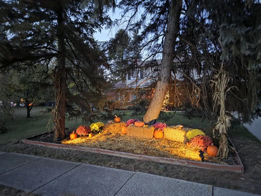 Professional outdoor landscaping in Plymouth, MI - Model Landscapes