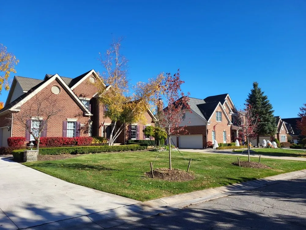 Custom yard cleanup service experts serving Plymouth, MI - Model Landscapes