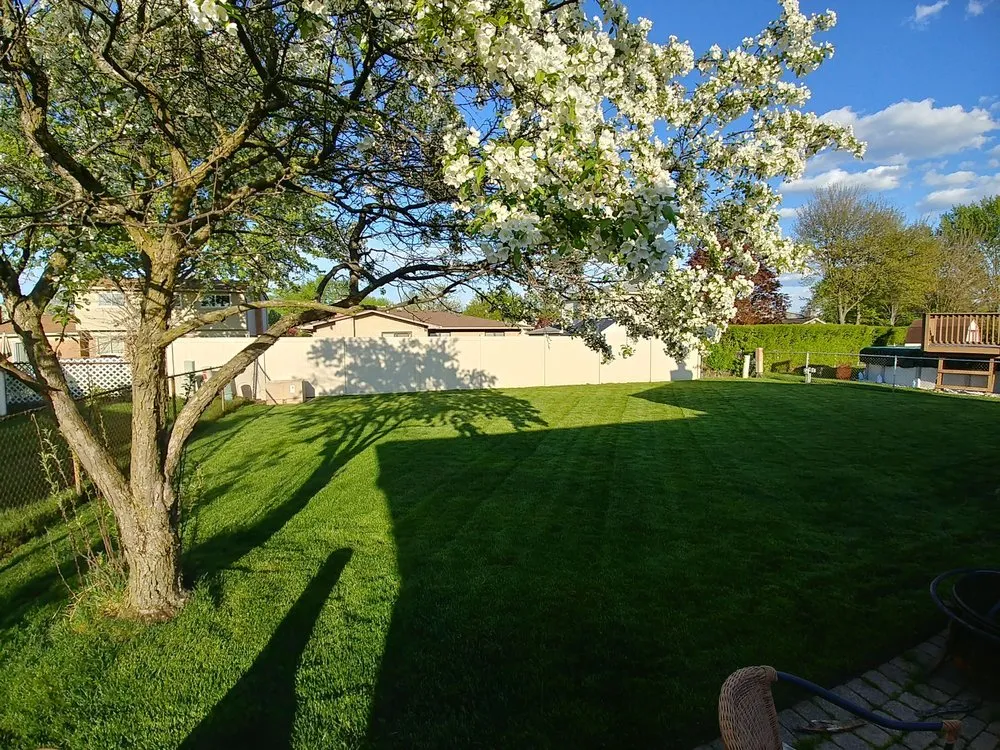 Top-rated lawn care service in Plymouth, MI - Model Landscapes