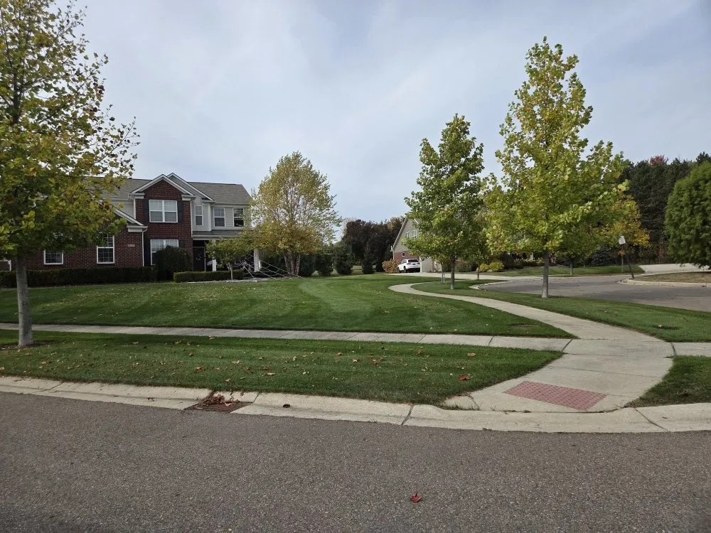 Affordable yard cleanup service in Plymouth, MI - Model Landscapes