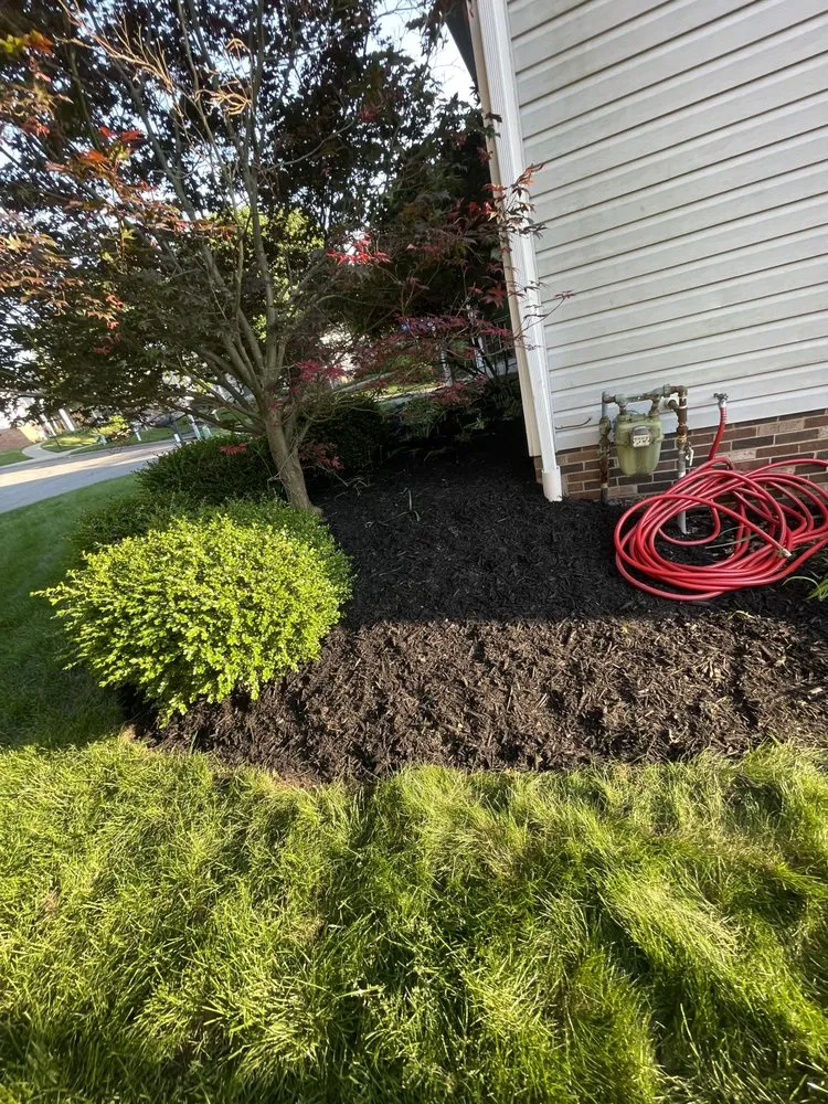 Top-rated yard maintenance for residential properties in Bridgeville, PA by Modelo Landscaping