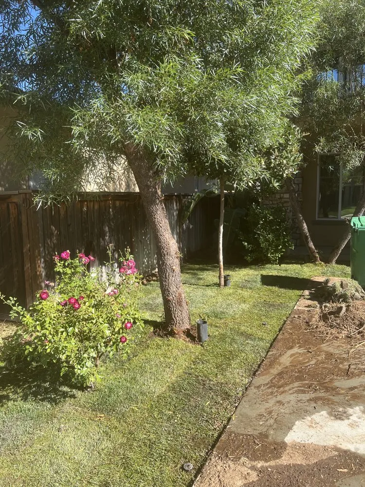 Top-rated yard cleanup service in Murrieta, CA - Modern Backcountry Solutions