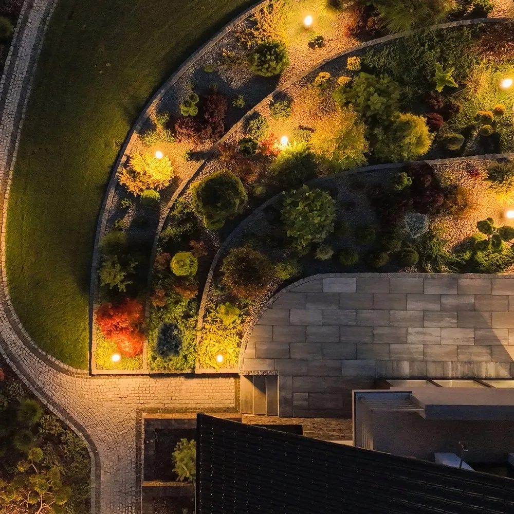 Expert yard cleanup service experts serving Kansas City, MO - Modern Collar