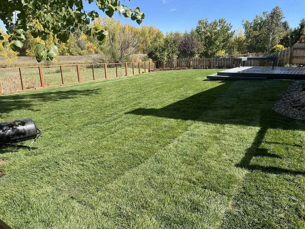 Expert landscape installation for homes across Denver, CO - Modern Concepts Landscape