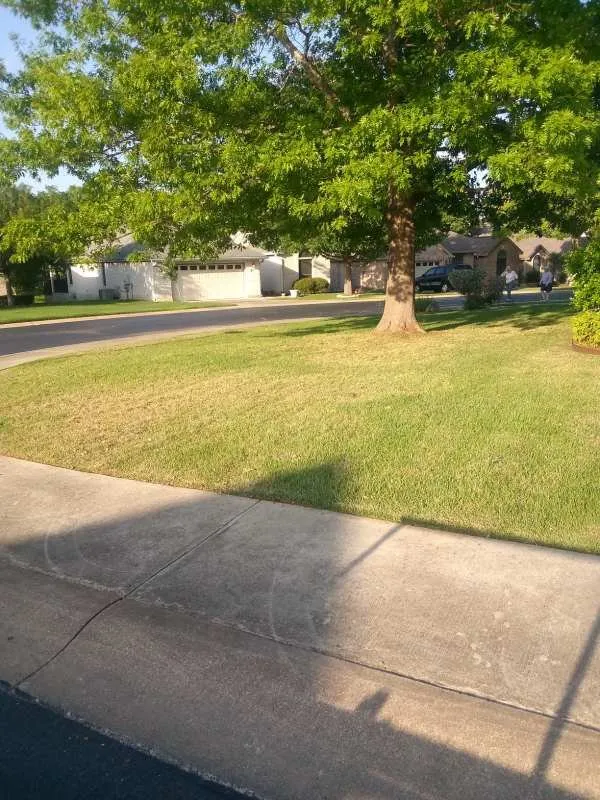 Custom yard maintenance in San Antonio, TX by Modern Craft