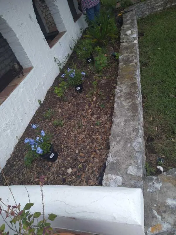 Trusted outdoor landscaping in San Antonio, TX - Modern Craft