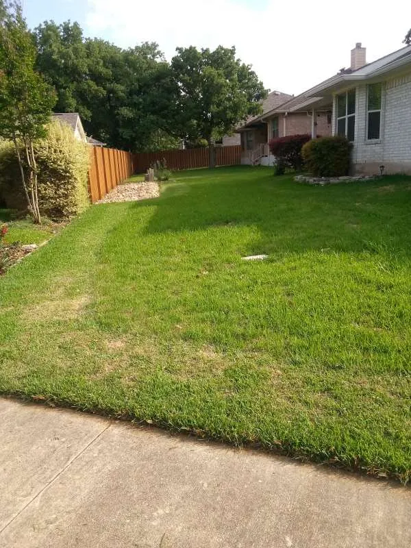 Trusted lawn mowing service experts serving San Antonio, TX - Modern Craft