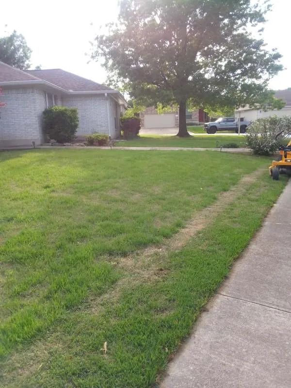 Trusted landscaping services in San Antonio, TX - Modern Craft