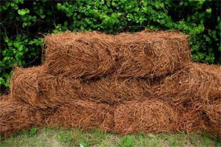 Reliable landscape installation with custom design in Florence, SC by Modern Day Landscaping