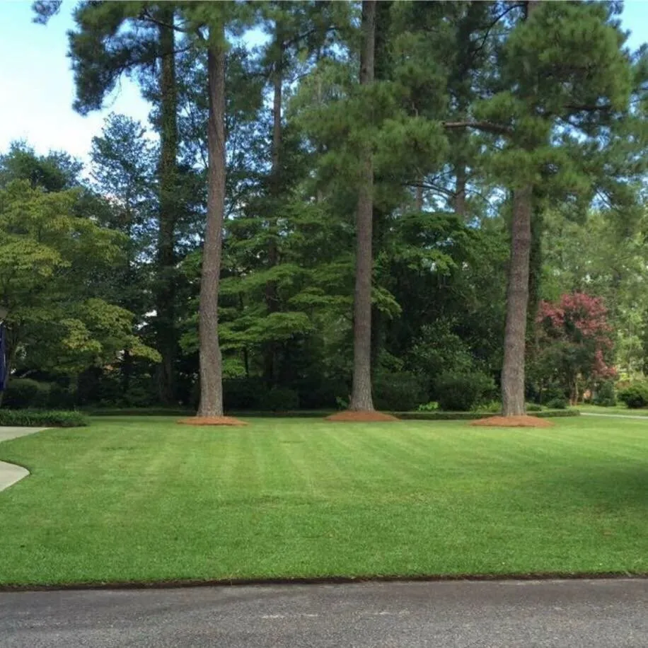 Professional lawn care service in Florence, SC - Modern Day Landscaping