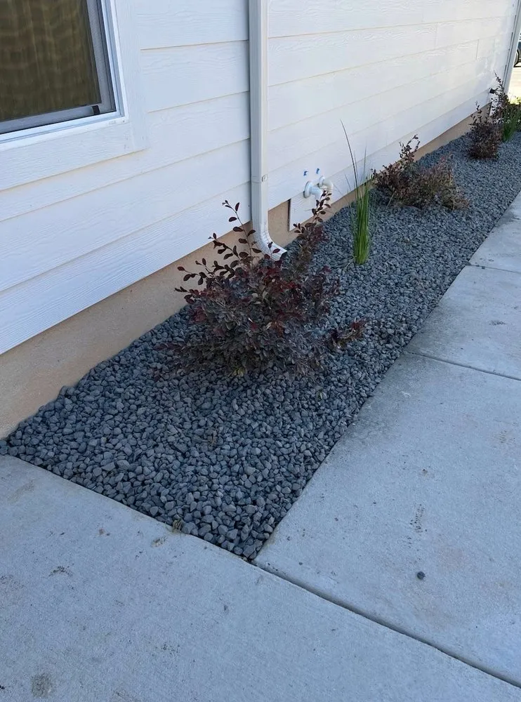 Trusted yard maintenance experts serving Austin, TX - Modern Designs of Texas