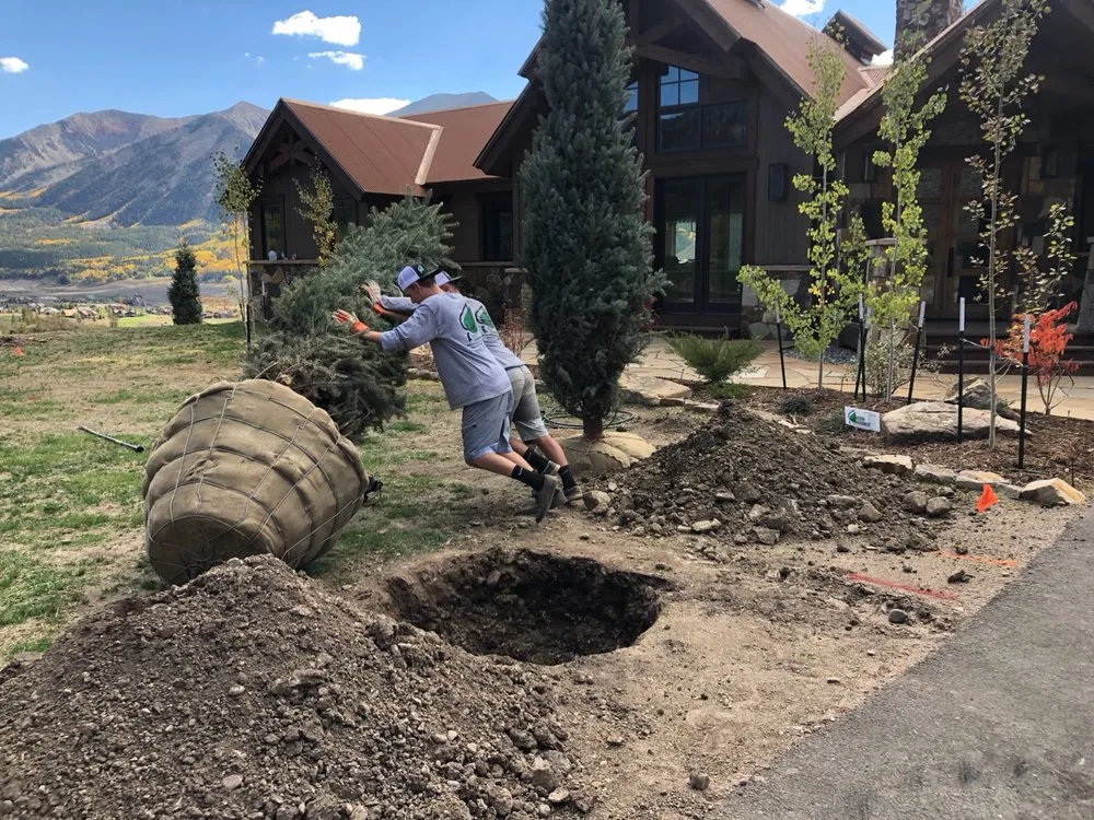Professional yard maintenance in Gunnison, CO by Modern Environment