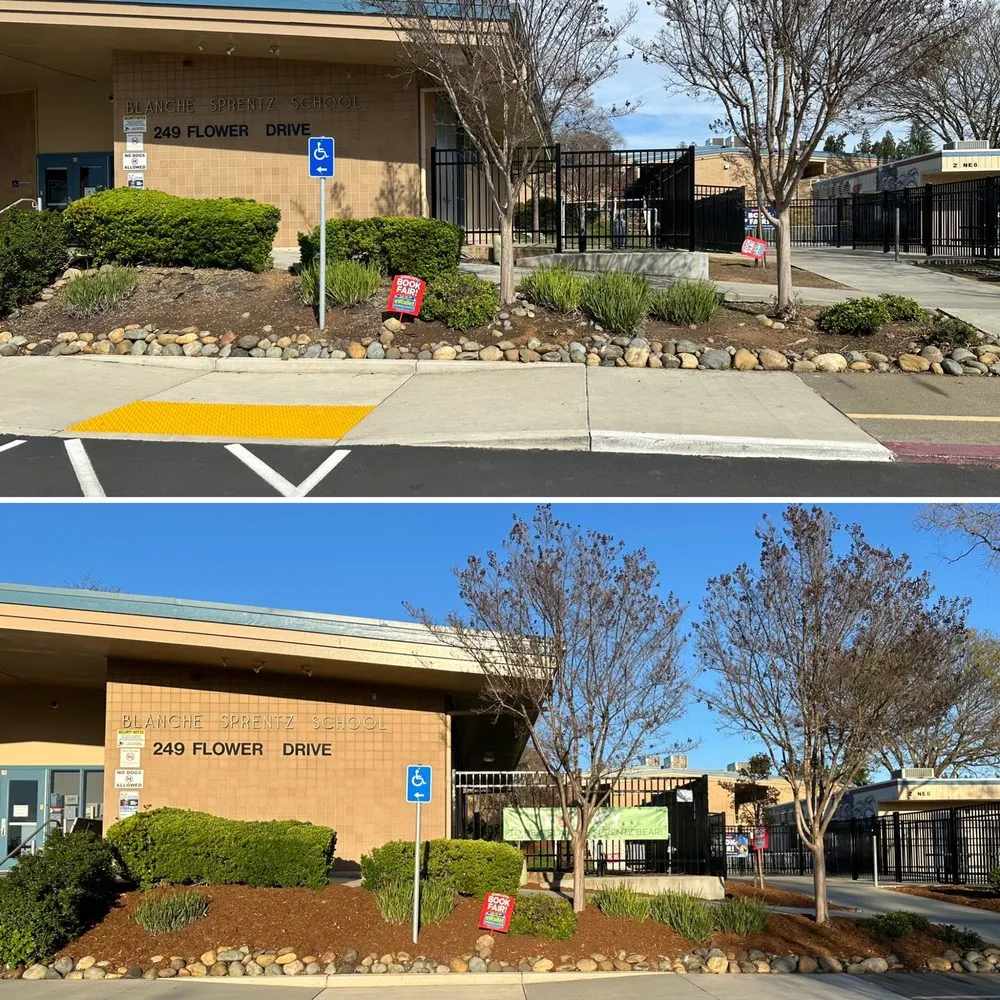 Custom lawn care service experts serving Auburn, CA - Modern Era Landscape