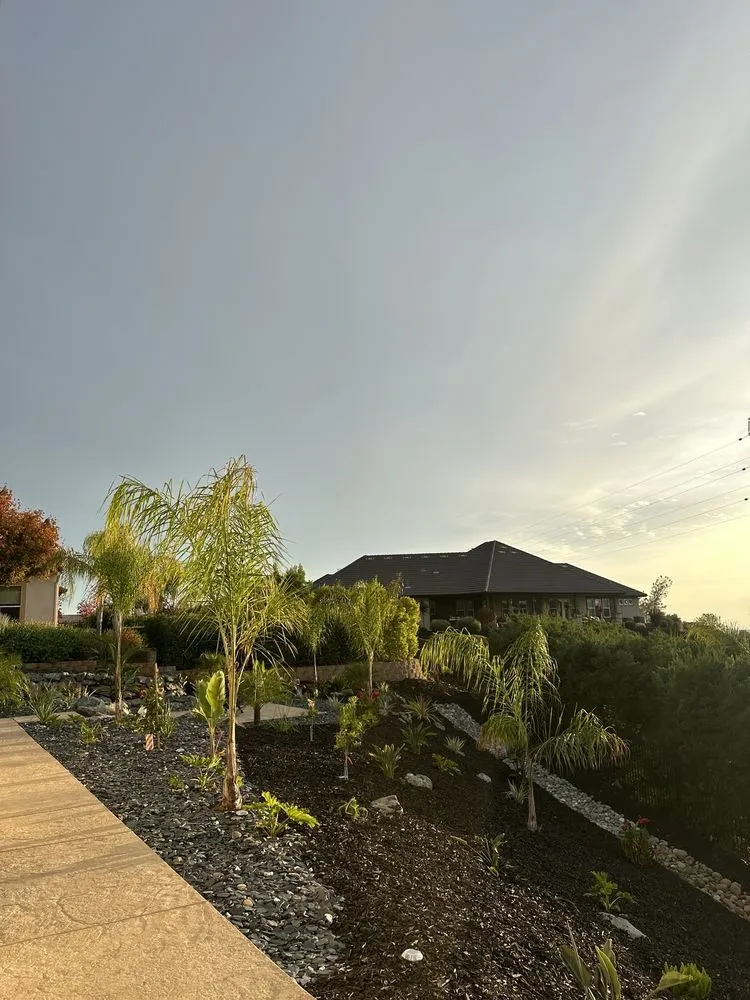 Professional landscape design in Auburn, CA - Modern Era Landscape