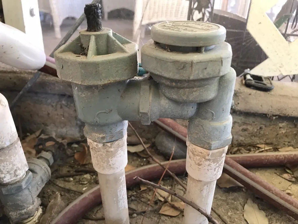 Trusted lawn care service experts serving Hemet, CA - Modern Garden Landscaping