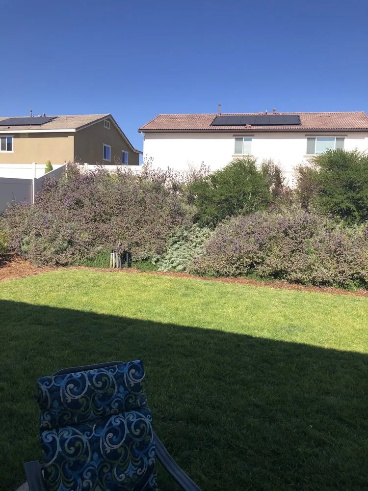 Local garden landscaping in Hemet, CA - Modern Garden Landscaping