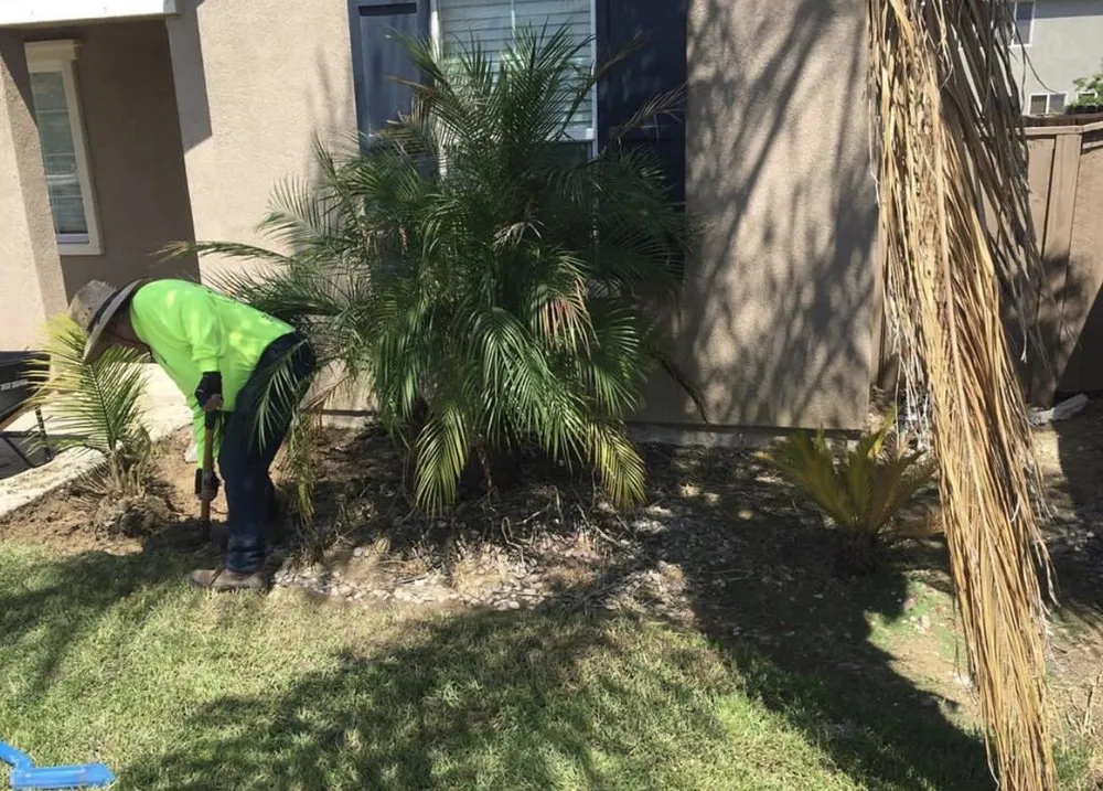 Top-rated lawn care service in Hemet, CA - Modern Garden Landscaping