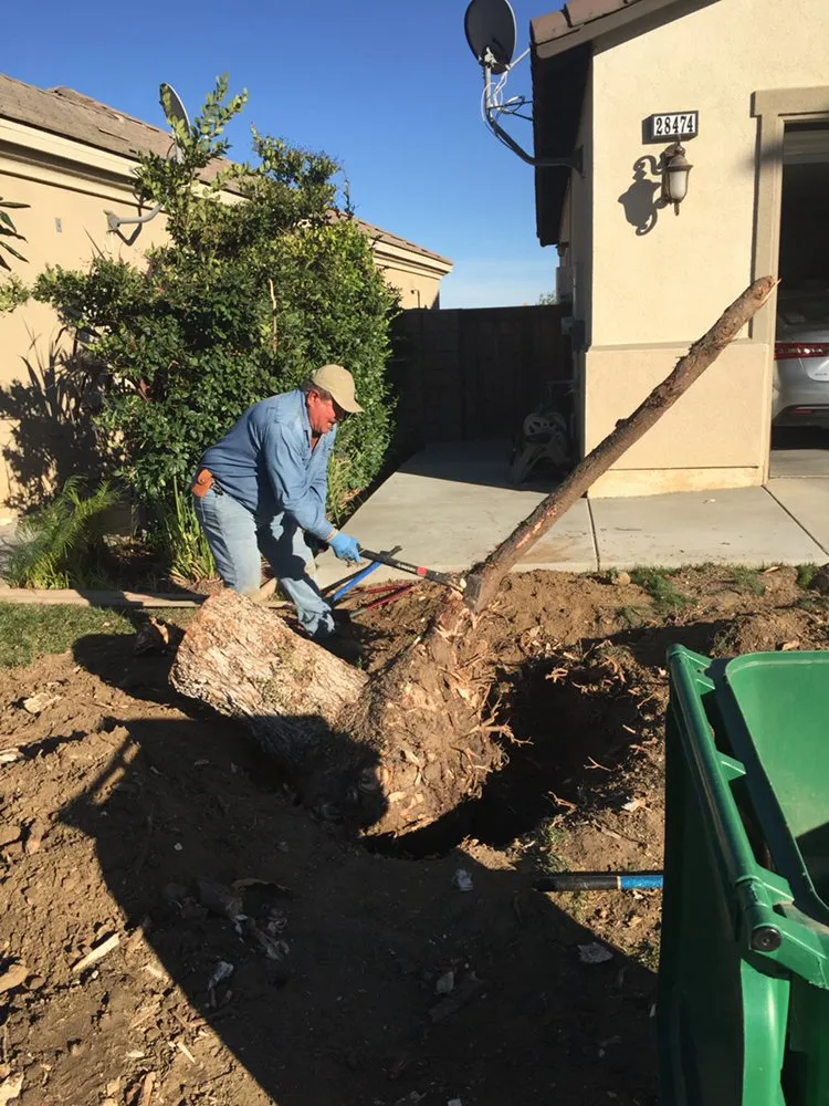 Reliable yard cleanup service in Hemet, CA by Modern Garden Landscaping