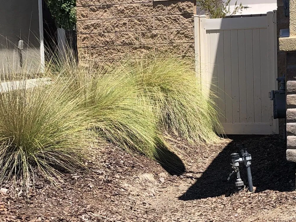 Local landscaping services experts serving Hemet, CA - Modern Garden Landscaping