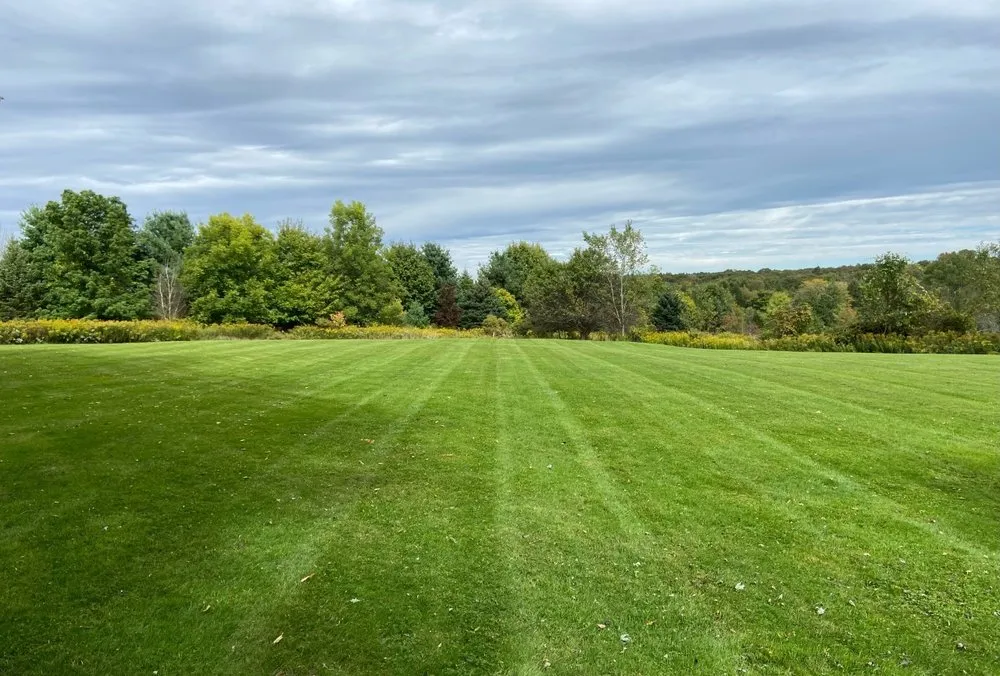 Expert garden landscaping experts serving Erie, PA - Modern Goat Landscaping