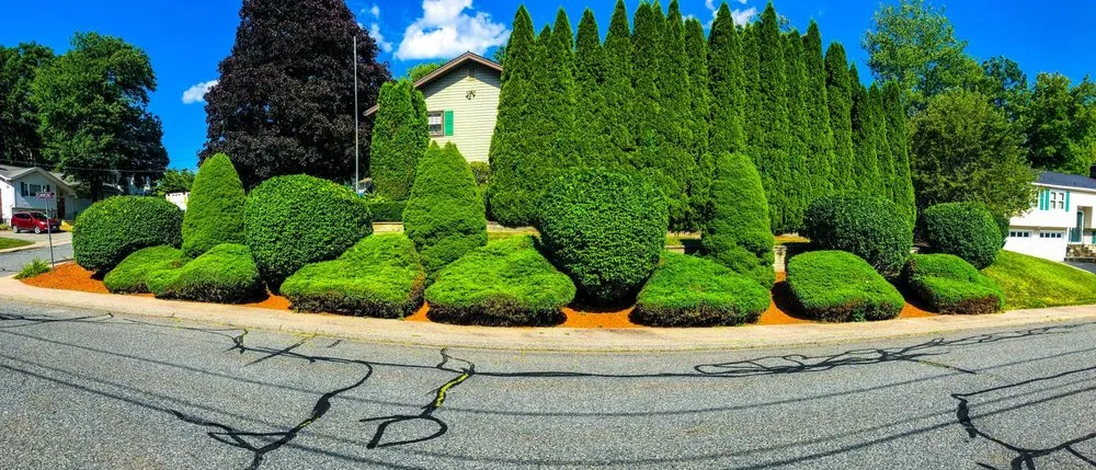 Top-rated landscape design experts serving Marlborough, MA - Modern Grounds Landscape & Hardscape