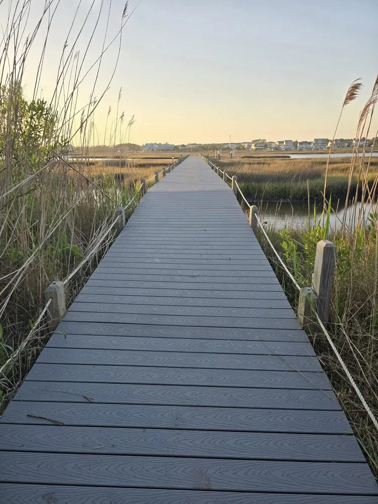 Trusted landscape installation experts serving Jacksonville, NC - Modern Home & Ground Solutions