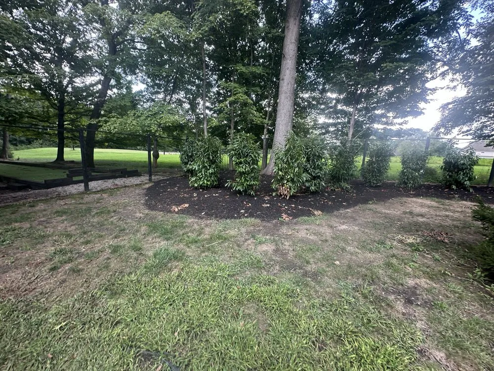 Professional landscape design experts serving Prospect, KY - Modern Home Builders