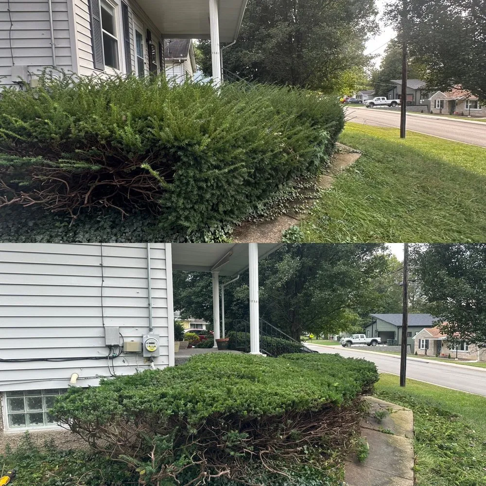 Custom landscape design in Prospect, KY by Modern Home Builders