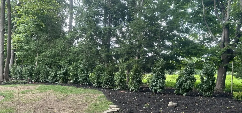 Expert landscape installation in Prospect, KY by Modern Home Builders